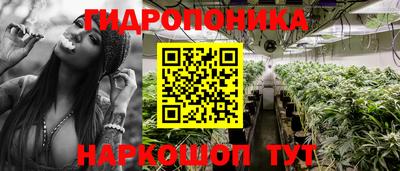 прущая мука Новодвинск