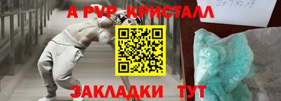 спиды Новозыбков