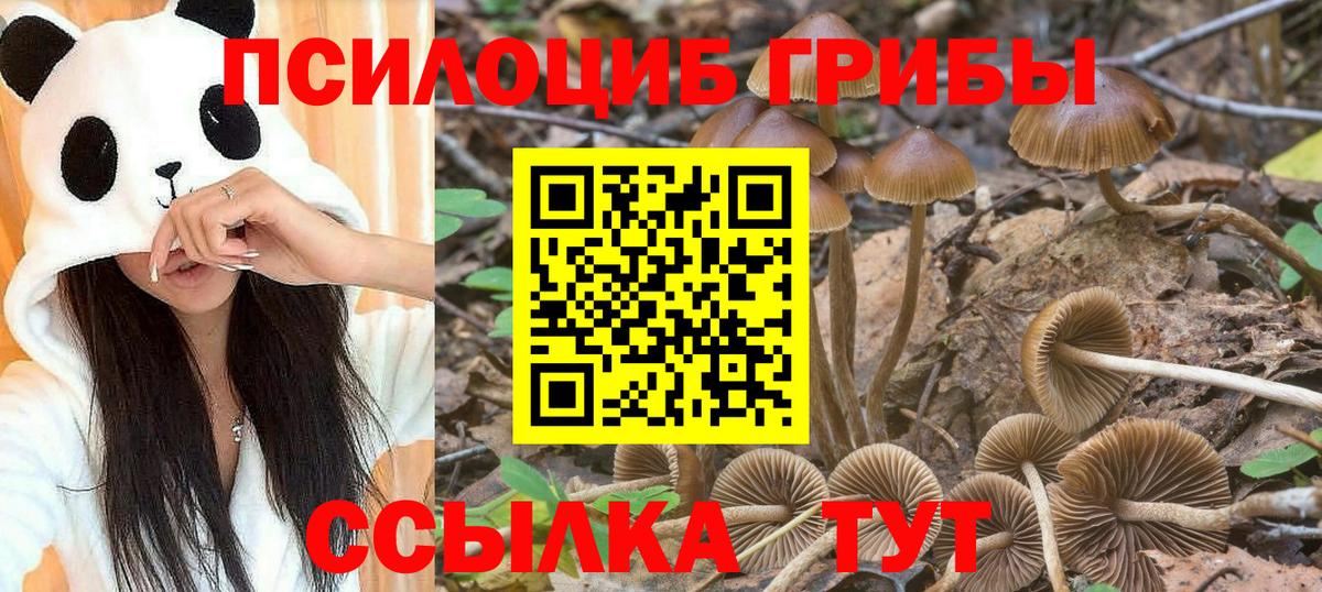 Галлюциногенные грибы ЛСД  Вход с VPN  Тихорецк 