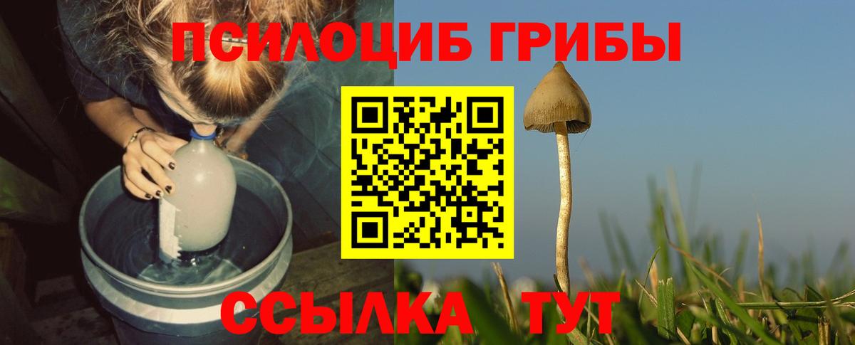 Галлюциногенные грибы MAGIC MUSHROOMS Тихорецк